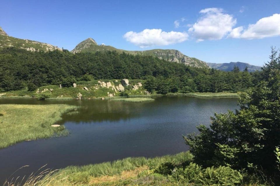 Region [summer] (>5 km)