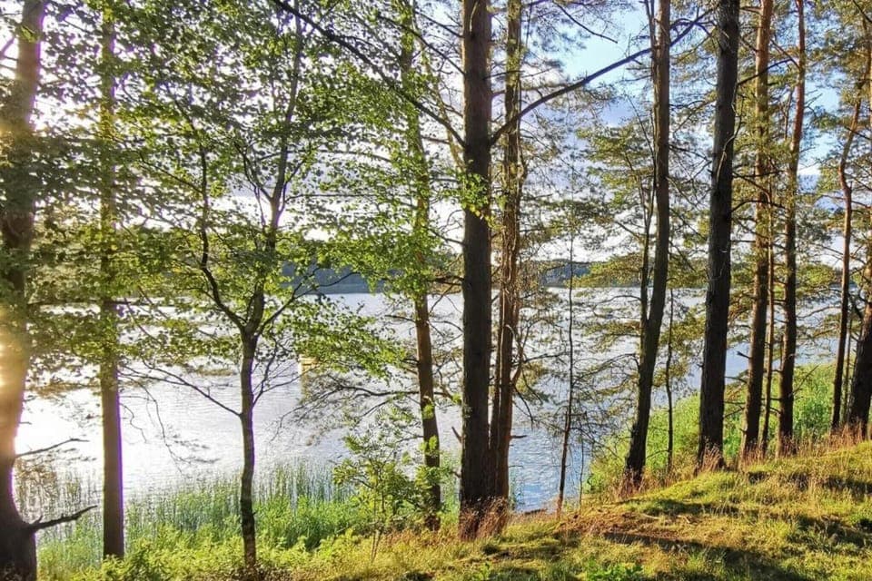 Region [summer] (>5 km)