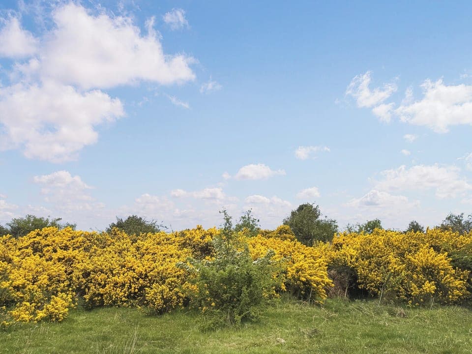 Skies that go on forever | The Red House - The Red Houses, Minsterley