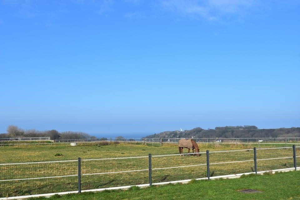 View from Holiday Home [summer]
