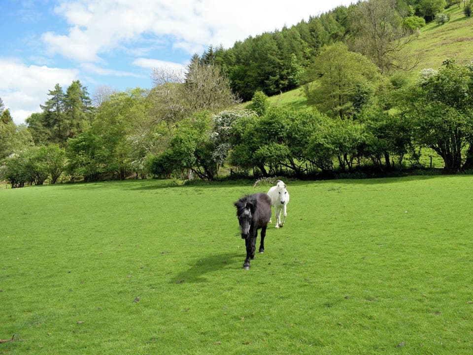 Surrounding area | Lower Goytre Farmhouse, Knighton