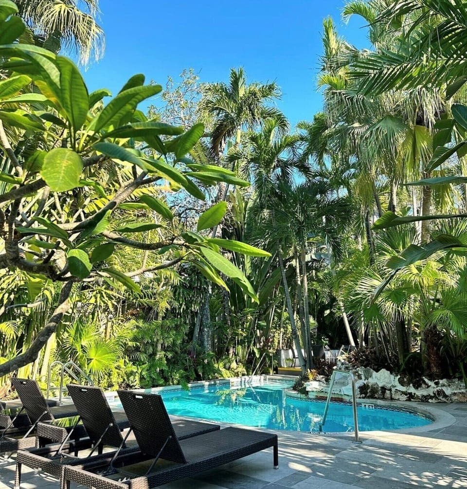 King Suite | View from property