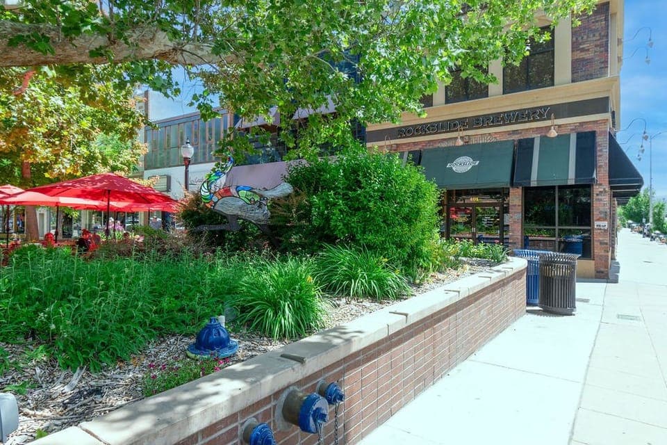 many downtown brew pubs