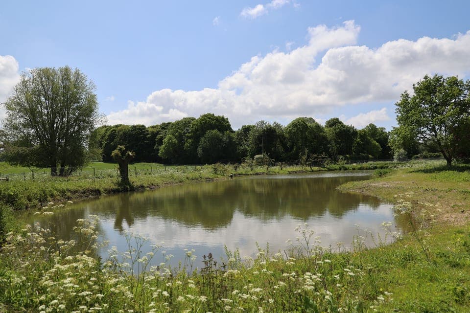 fishing lake open all year, located on the main site, 2 minutes from the cottages