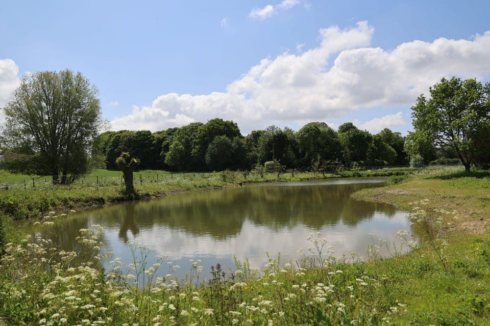 fishing lake open all year, on the main site 2 minutes from the cottages