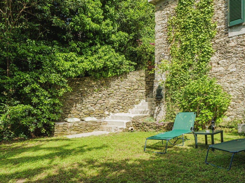 Plant, Outdoor Bench, Window, Natural Landscape, Grass, Building, Road Surface, Outdoor Furniture, Shade, Woody Plant