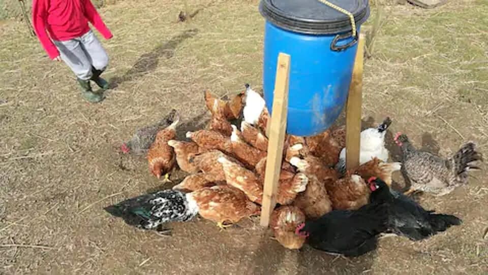 Cottage | Children's area