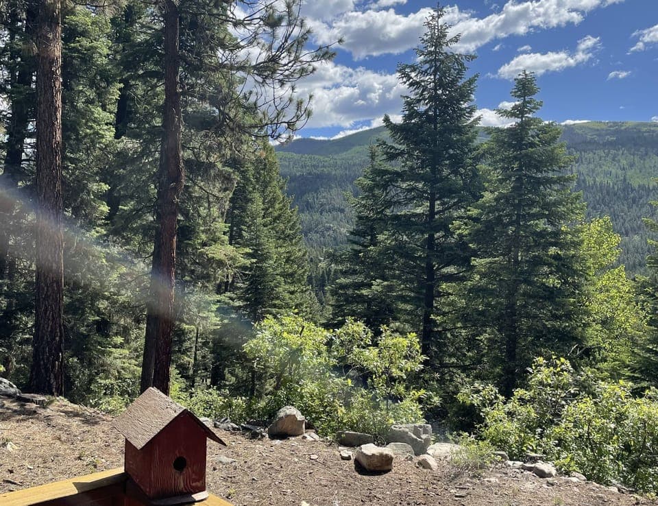 View from property