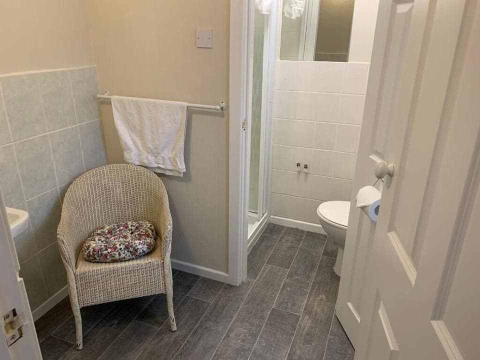 Twin Room | Bathroom | Shower, towels