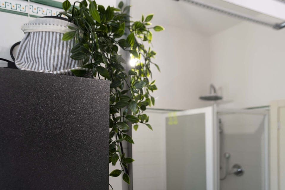 Plant, Houseplant, Interior Design, Wood, Rectangle, Floor, Material Property, Twig, Building, Real Estate