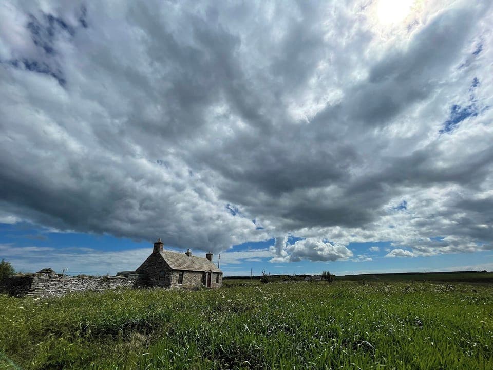 Exterior | Mey Bee, Mey, near Thurso