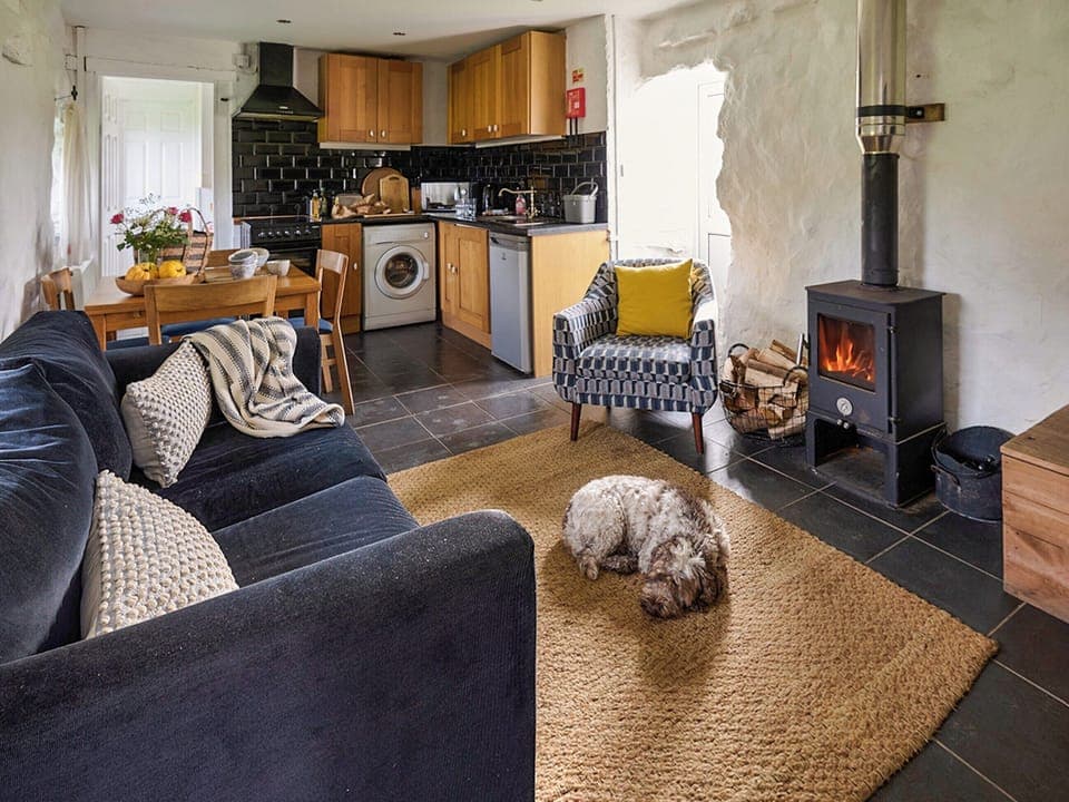 Open plan living space | Stables - Bach Wen Cottages, Clynnog Fawr