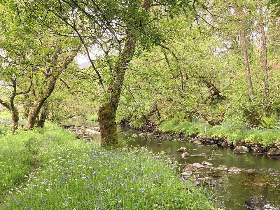 Surrounding area | Sonas, Torlundy