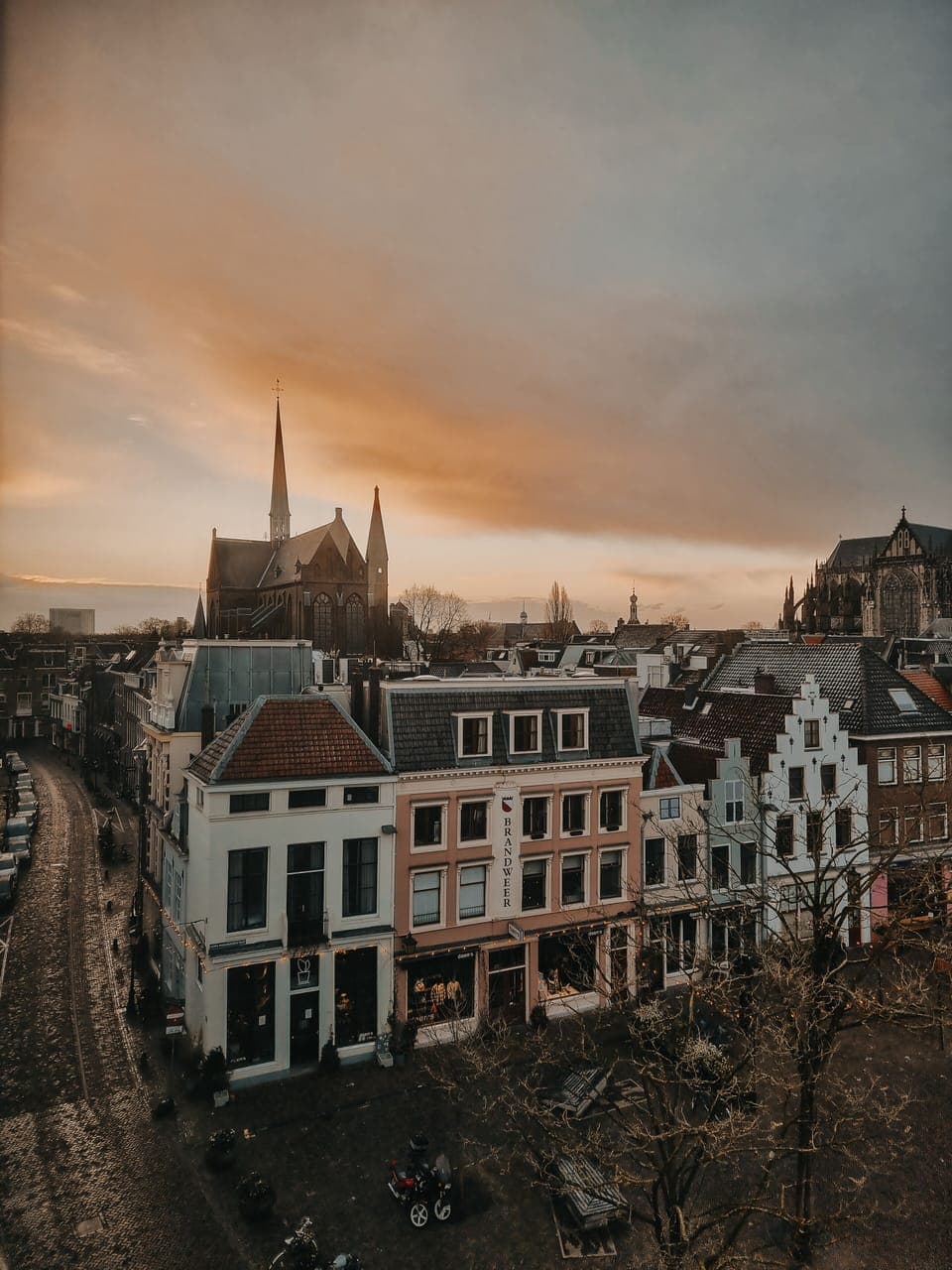 Suite, 1 King Bed | View from room