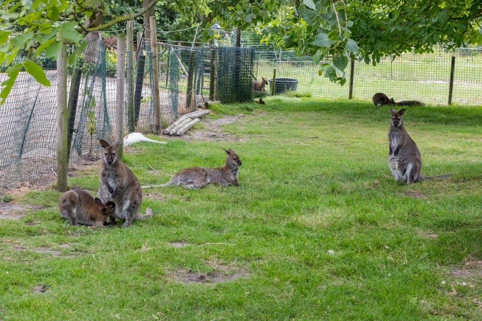 Holiday Park Facilities and Services 