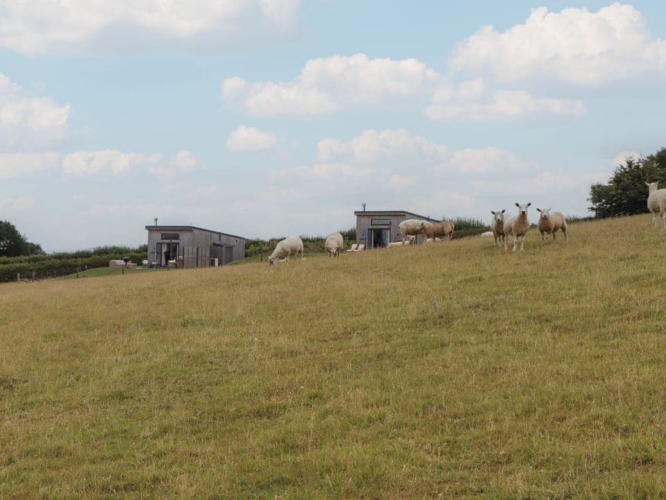 Cottage | Miscellaneous