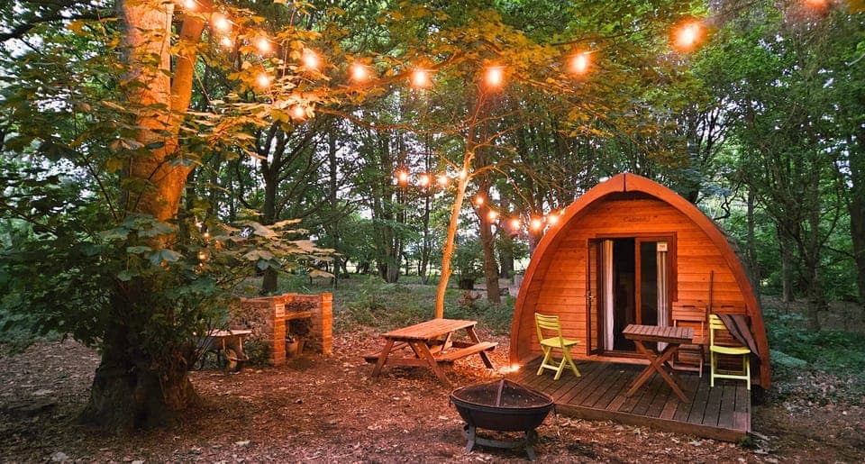 Fairy Lights at Night