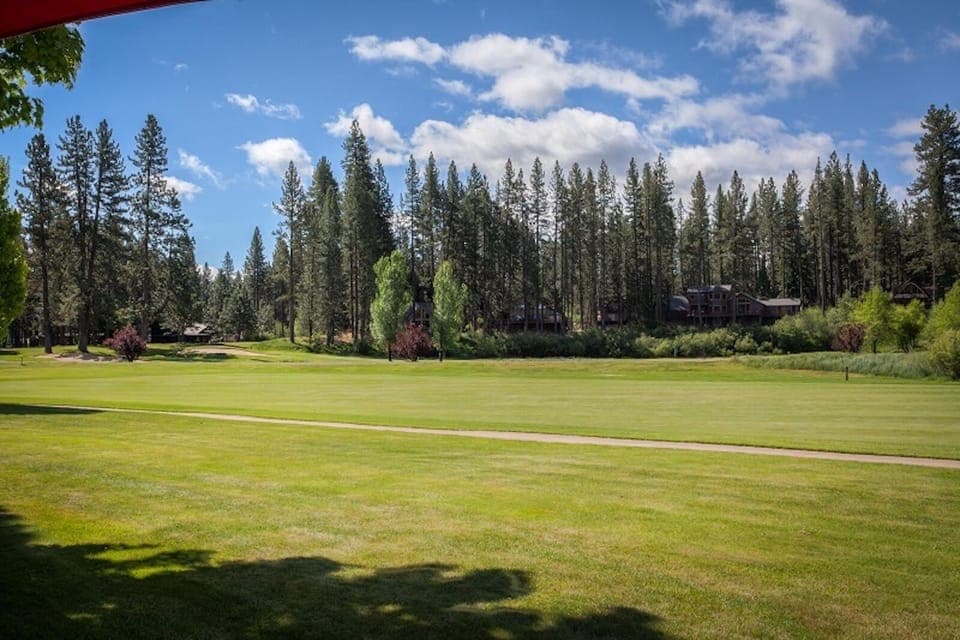 Golf among the pines