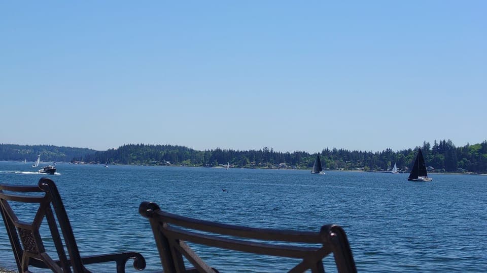 Boats from our beach