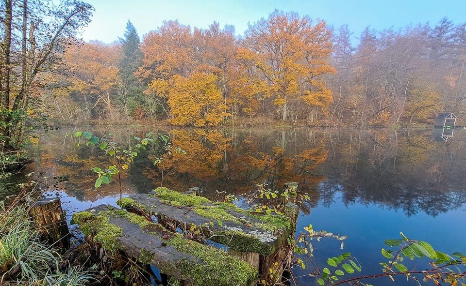 House, 3 Bedrooms, Smoking, Fireplace | Miscellaneous