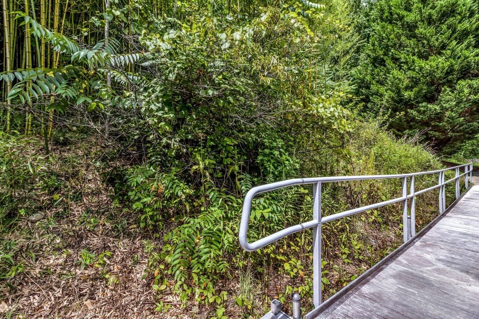 Handicapped ramp off master bedroom