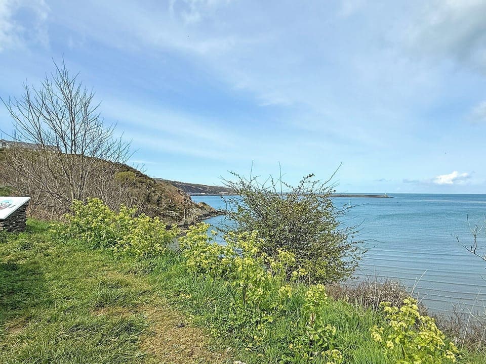 Surrounding area | Crows Cottage, Fishguard