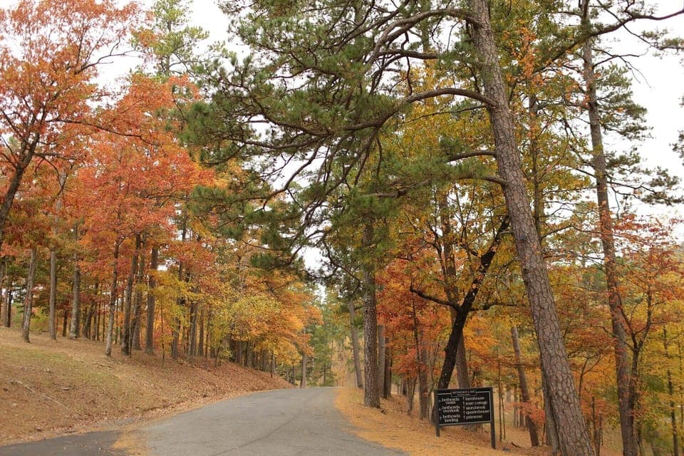 Property setting is stunning!