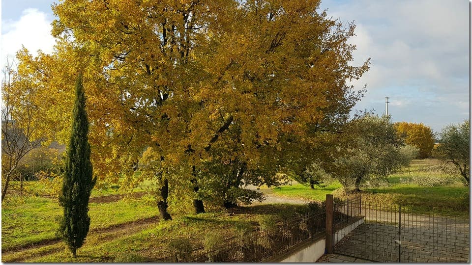 Villa, 2 Bedrooms, Smoking, Private Pool | Property grounds