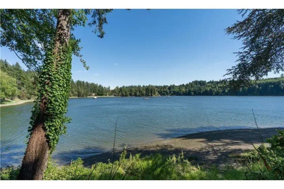 Beach on the property.