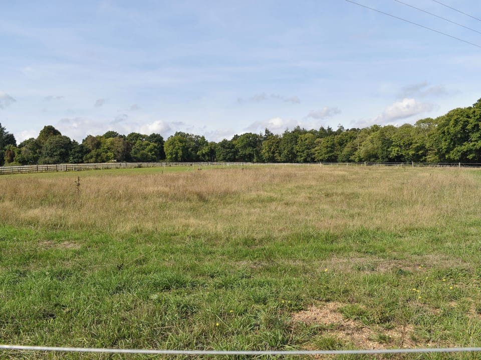 View | The Workshop - Bedborough Farm Cottages, Wimborne