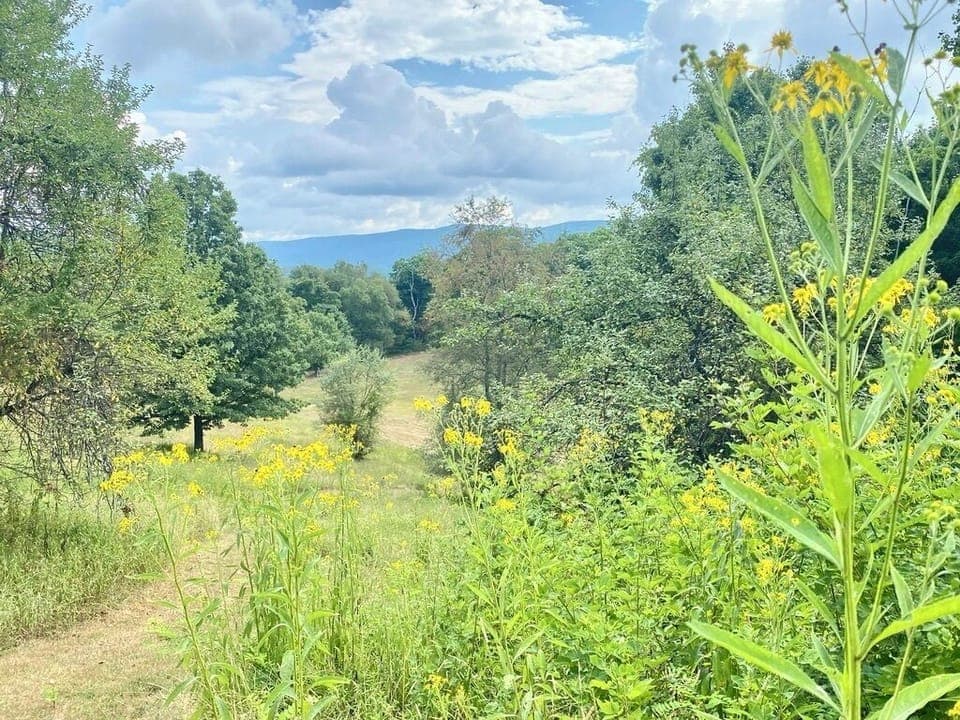 Summer Hiking (2)