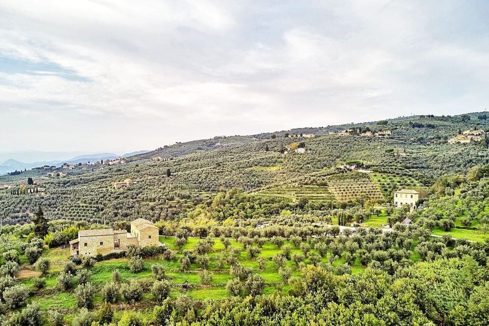 Outdoor, Scenic View