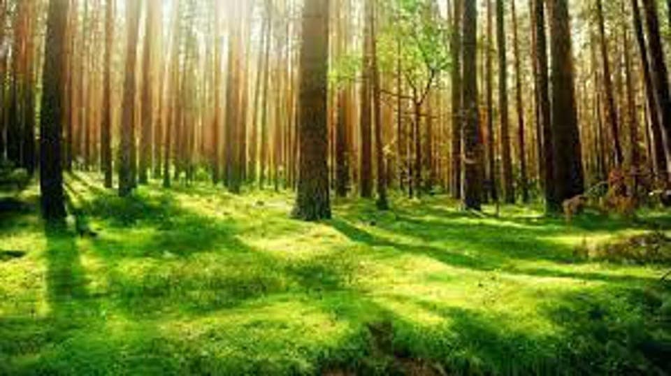 Apartment | Property grounds