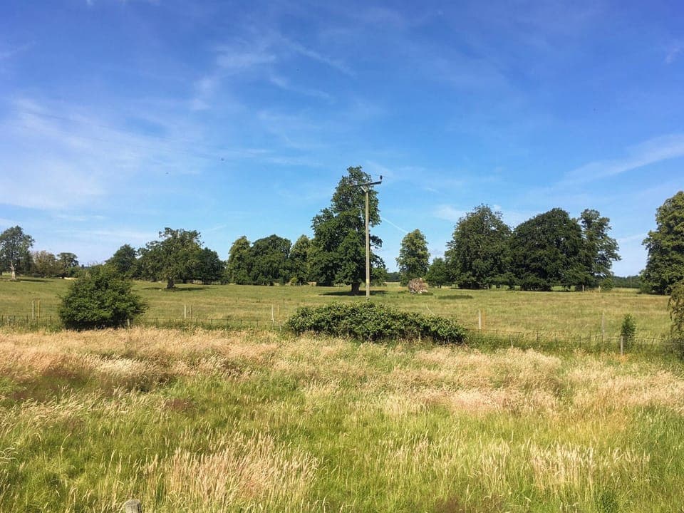 View | North Road Cottage, Hackforth, Bedale