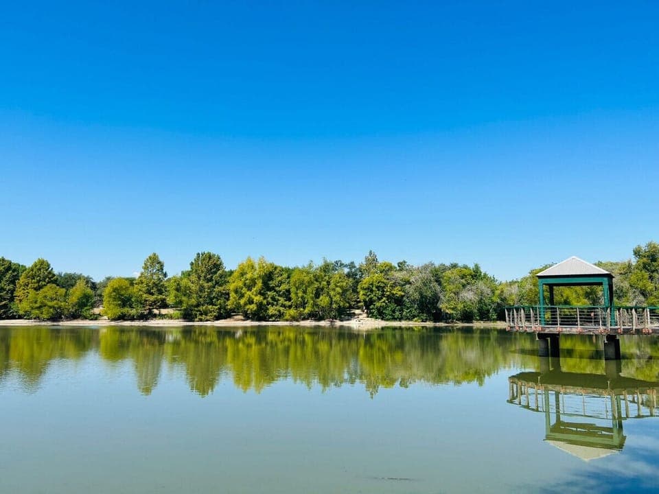 Mills Pond (Perfect Photo Opportunities)