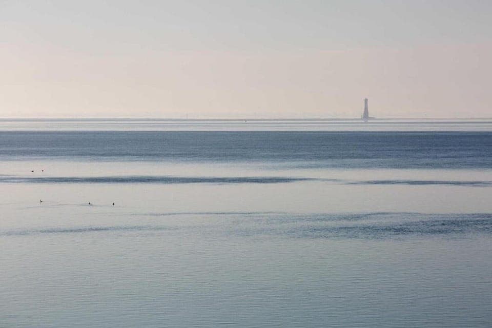 Region [summer] (>5 km)