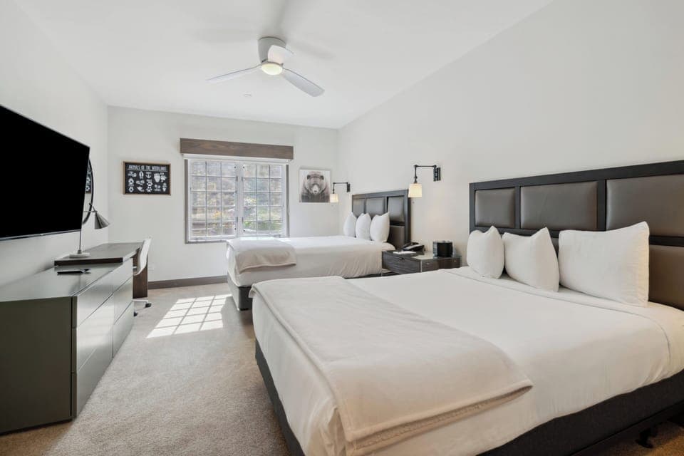 f235-2482_53941218160_o