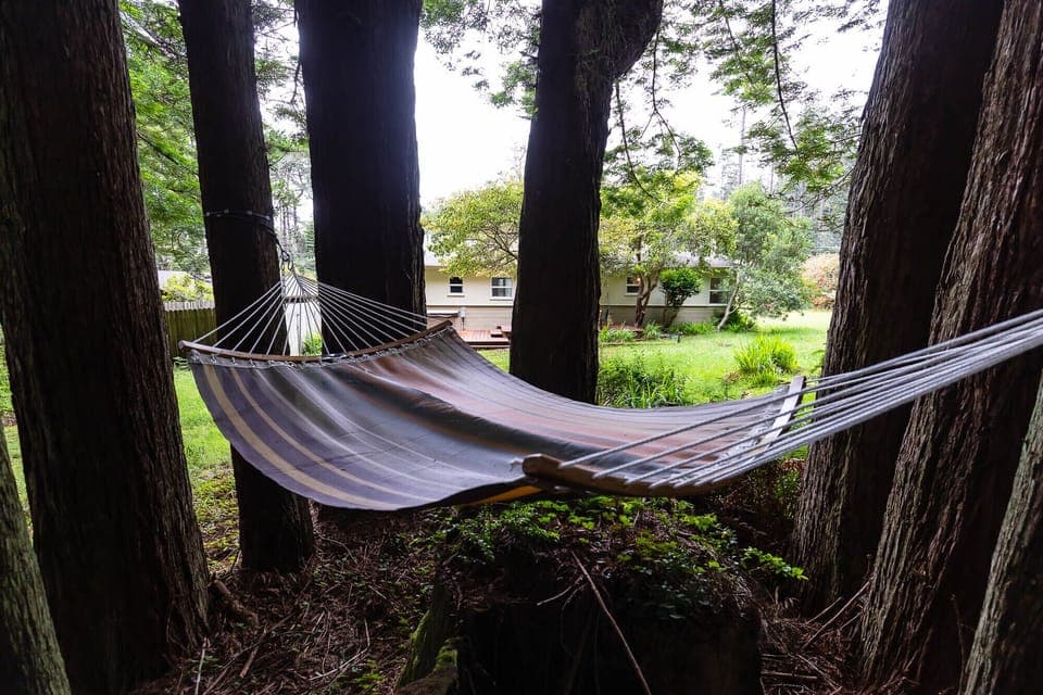 Immerse yourself within the redwood forest with this unique 2 person hammock.