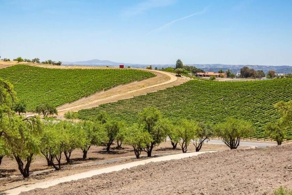 Vineyard Views, and just minutes to Downtown