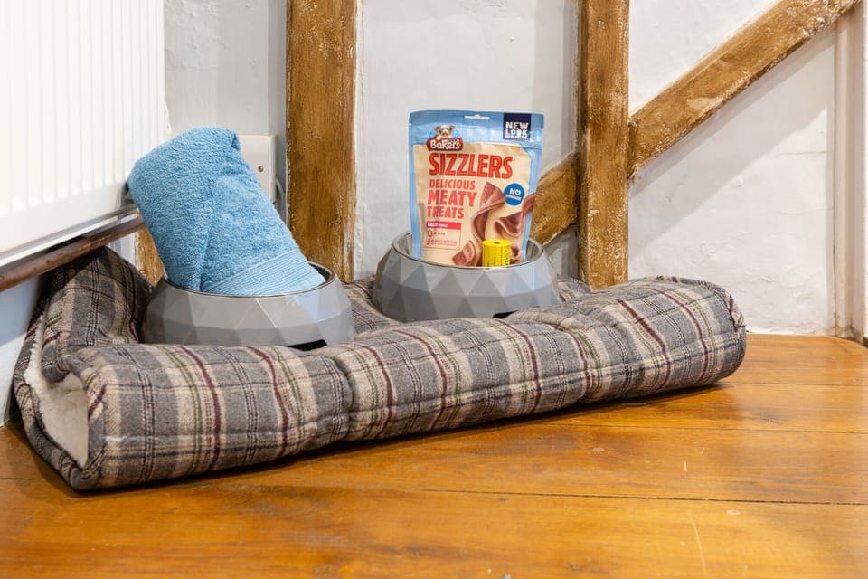 A dog bed for your pet with a few extra treats