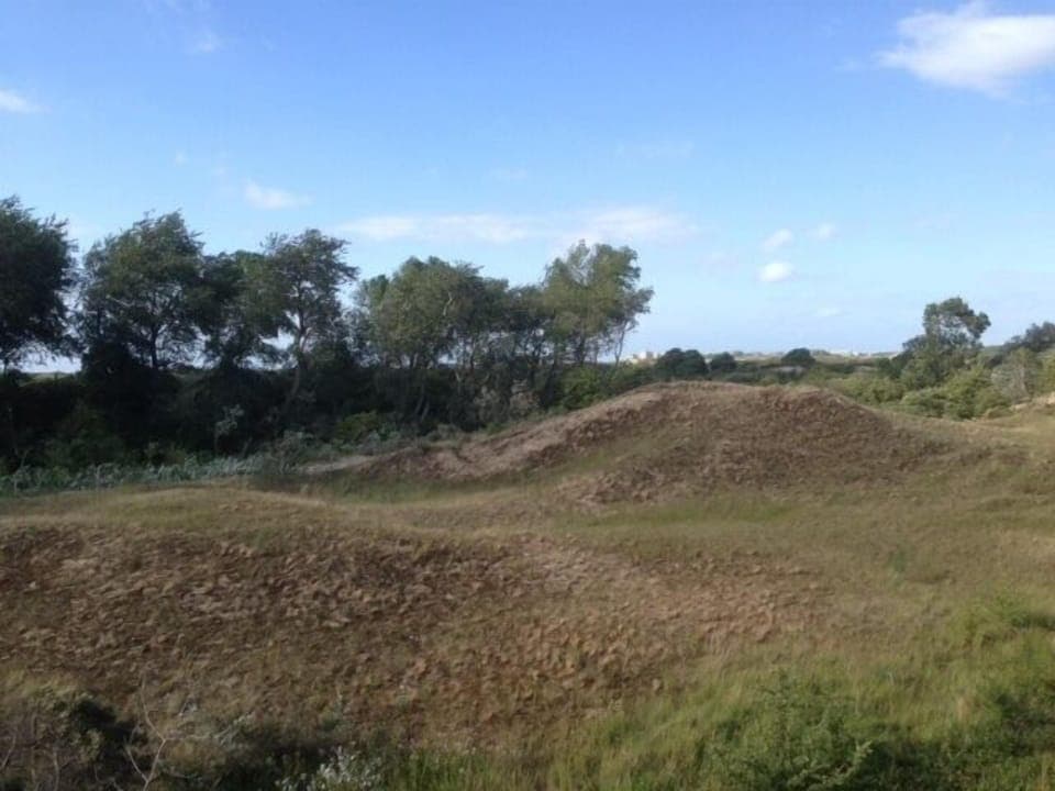 Junior Suite | Hypo-allergenic bedding, minibar, in-room safe, desk