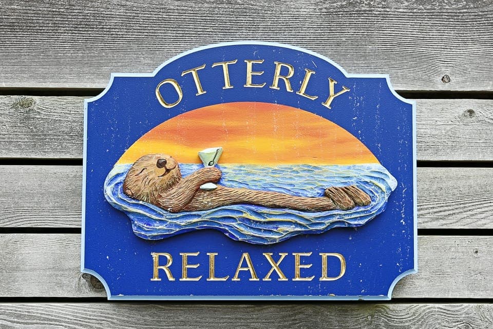 Chill, the Otter.  