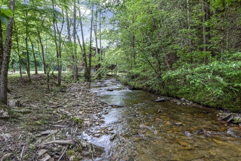 Water, Creek, Nature, Outdoors, Stream