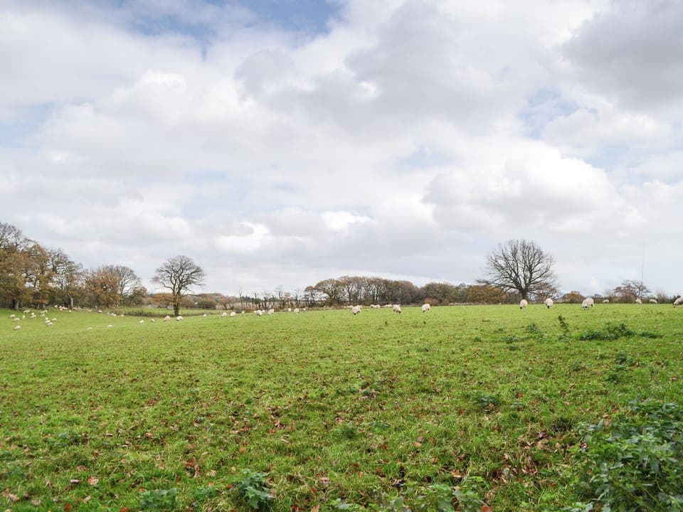 View from garden | The Old Vicarage, Westward, near Wigton