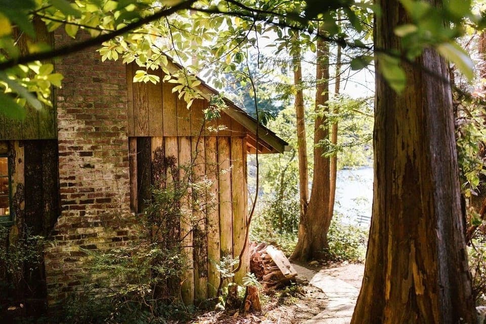 Private pathway to cabin