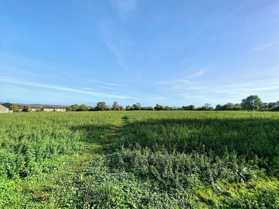 Surrounding area | The Nest, Neston, near Corsham