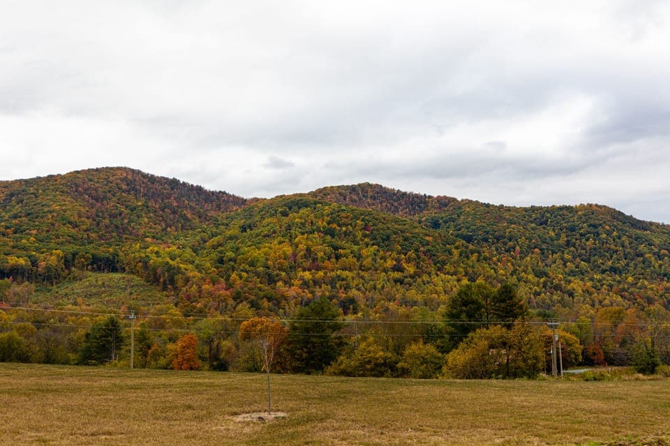 You can't beat the mountain views here, and NO steep mountain roads! 