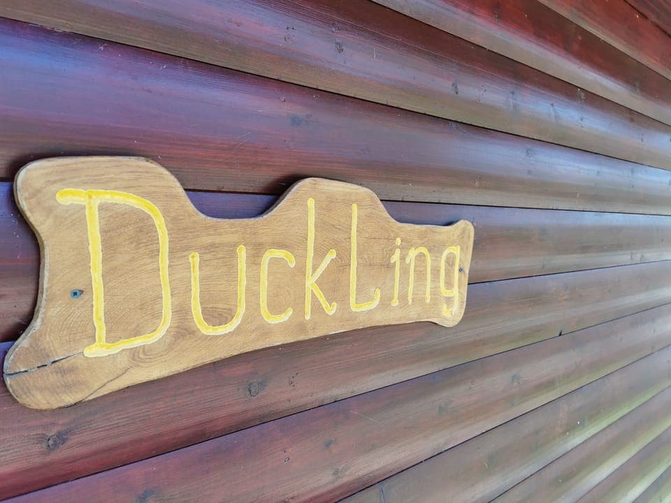 Duckling log cabin
