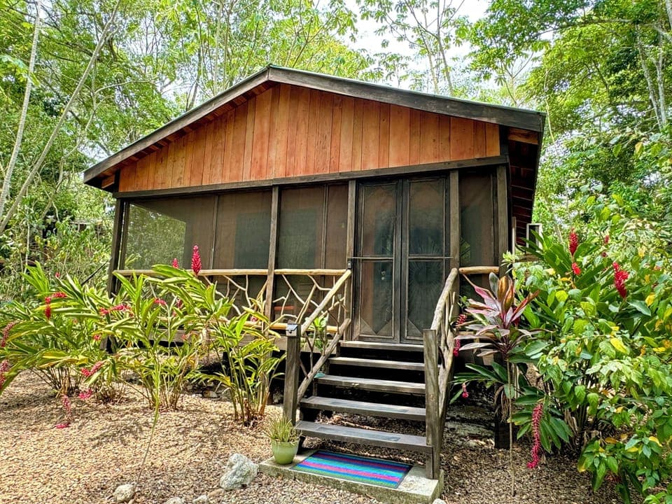 20'x16' cabana with 20'x6' screened-in front porch, constructed entirely of Belizean hardwoods