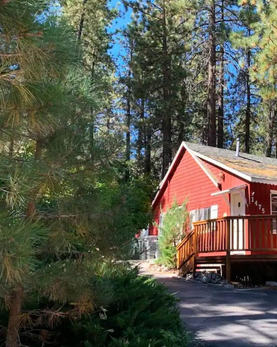 This cozy cottage is tucked between beautiful Jeffrey pine trees and enveloped by lilac bushes that bloom in the spring.